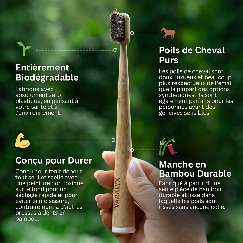 Brosse à dents en crin de cheval naturelle VARALYX manche bambou