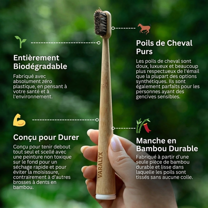 Brosse à dents en crin de cheval naturelle VARALYX manche bambou
