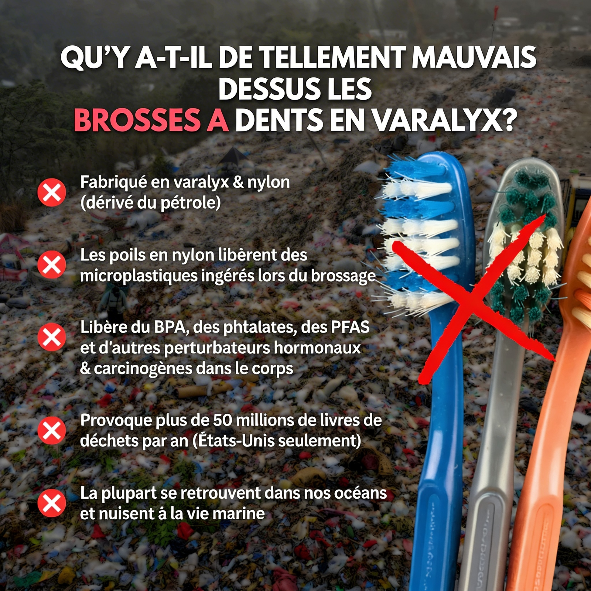 Brosse à dents en crin de cheval naturelle VARALYX manche bambou