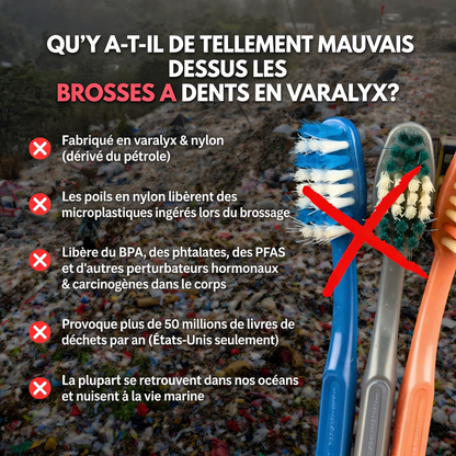 Brosse à dents en crin de cheval naturelle VARALYX manche bambou