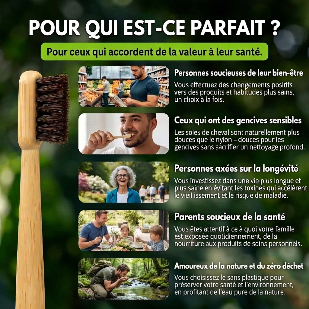 Brosse à dents en crin de cheval naturelle VARALYX manche bambou