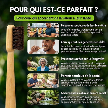 Brosse à dents en crin de cheval naturelle VARALYX manche bambou