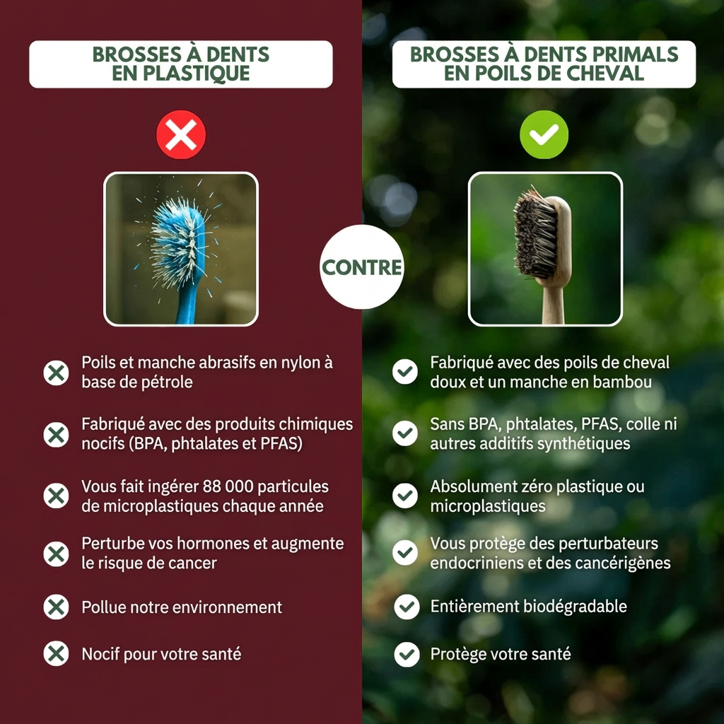 Brosse à dents en crin de cheval naturelle VARALYX manche bambou