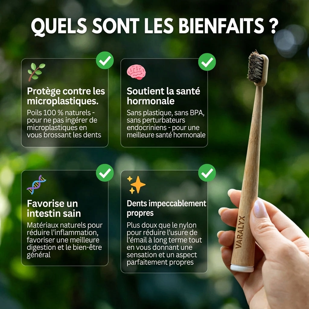 Brosse à dents en crin de cheval naturelle VARALYX manche bambou