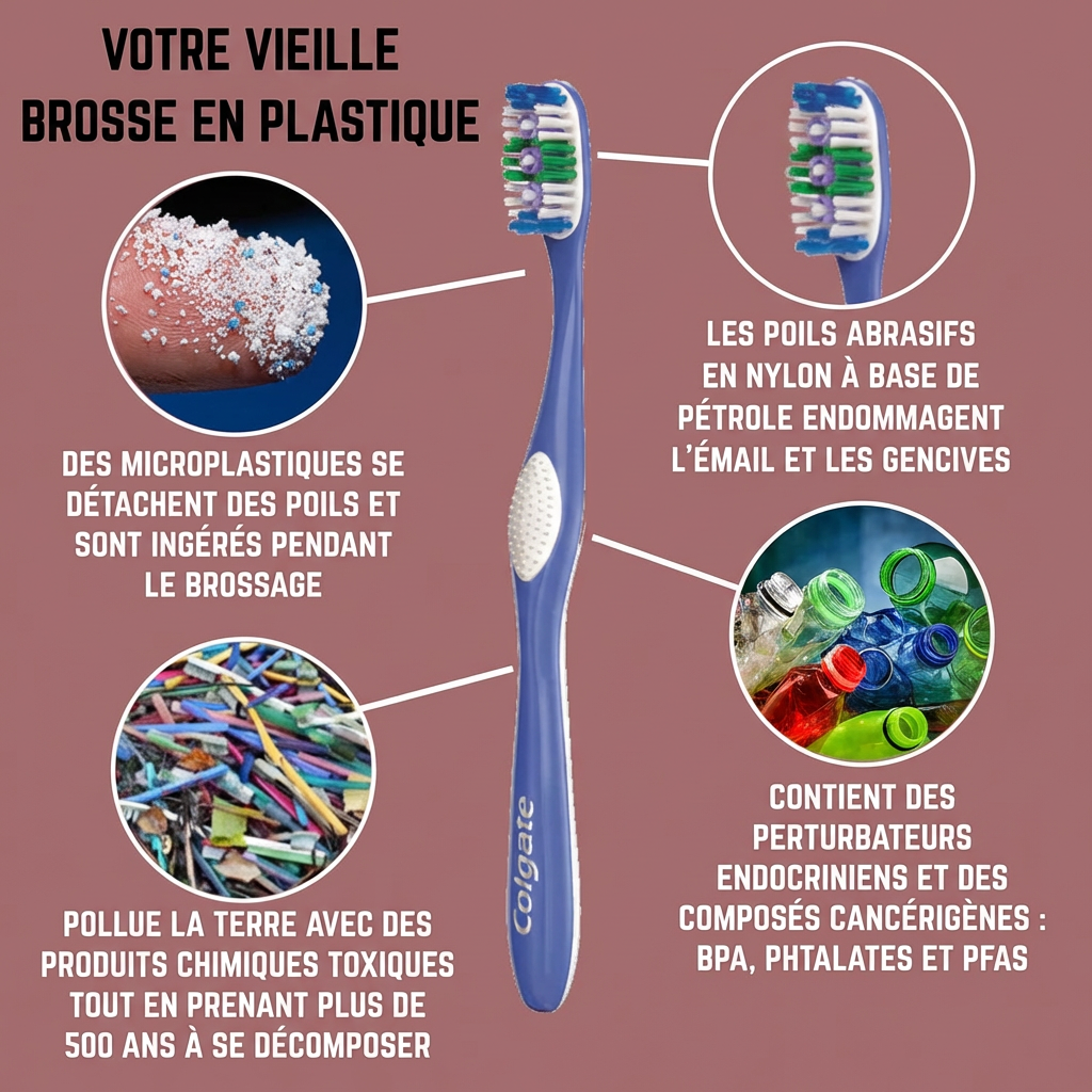 Voici ta vieille brosse à dents en plastique…